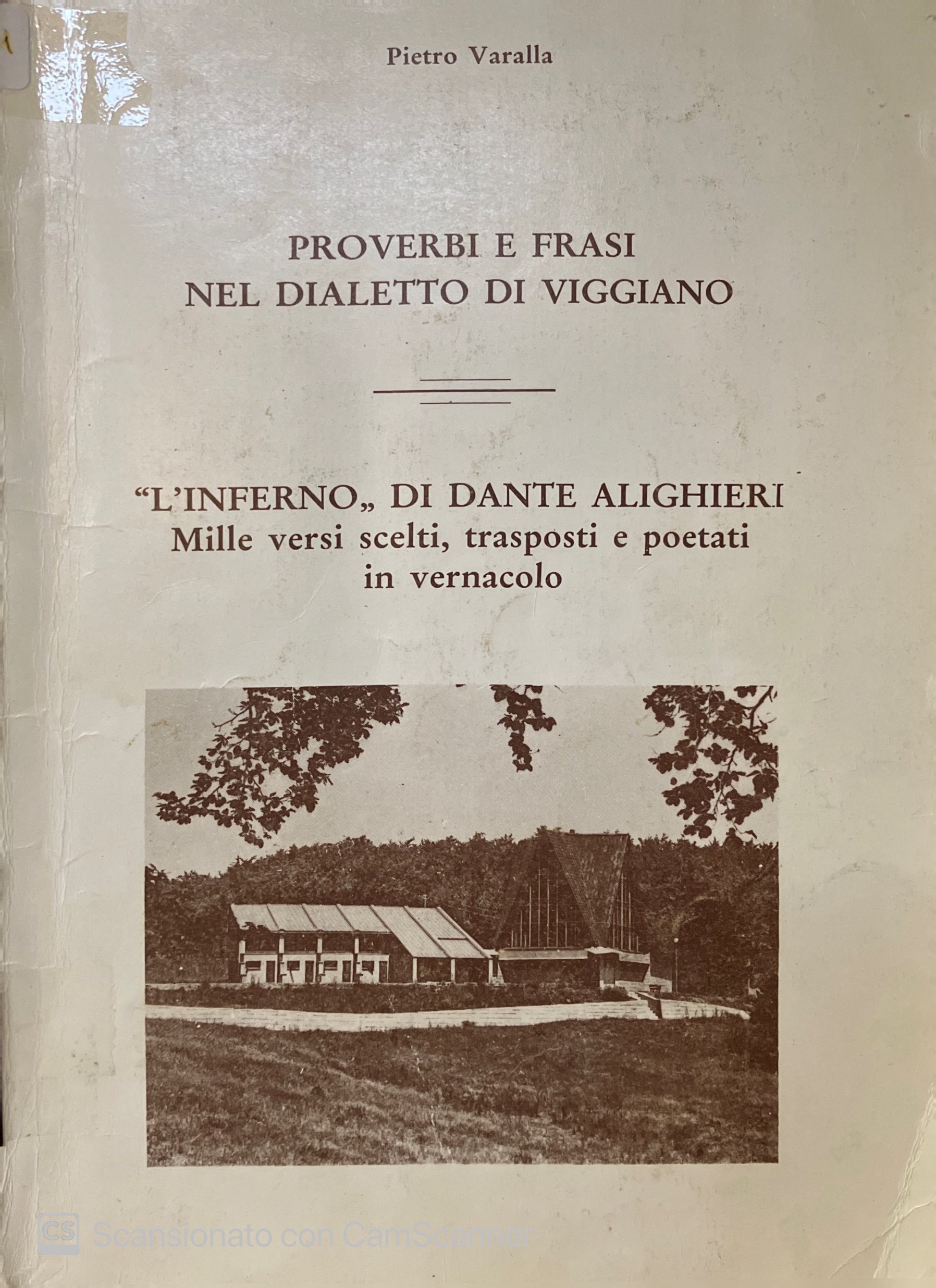 PROVERBI E FRASI NEL DIALETTO DI VIGGIANO - L' INFERNO DI DANTE ALIGHIERI